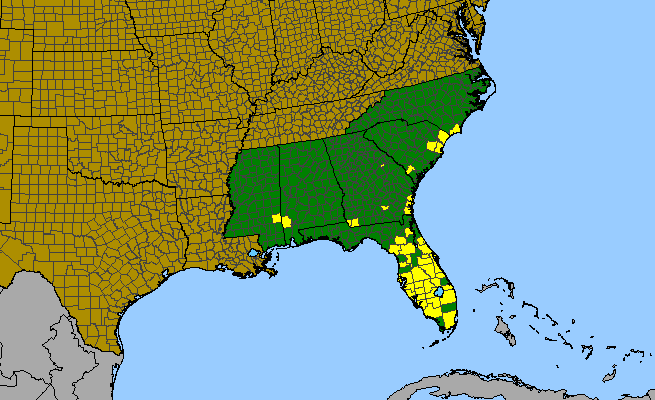 The range of Zephyranthes simpsonii
